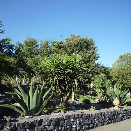 Casa Gallida Bed and Breakfast